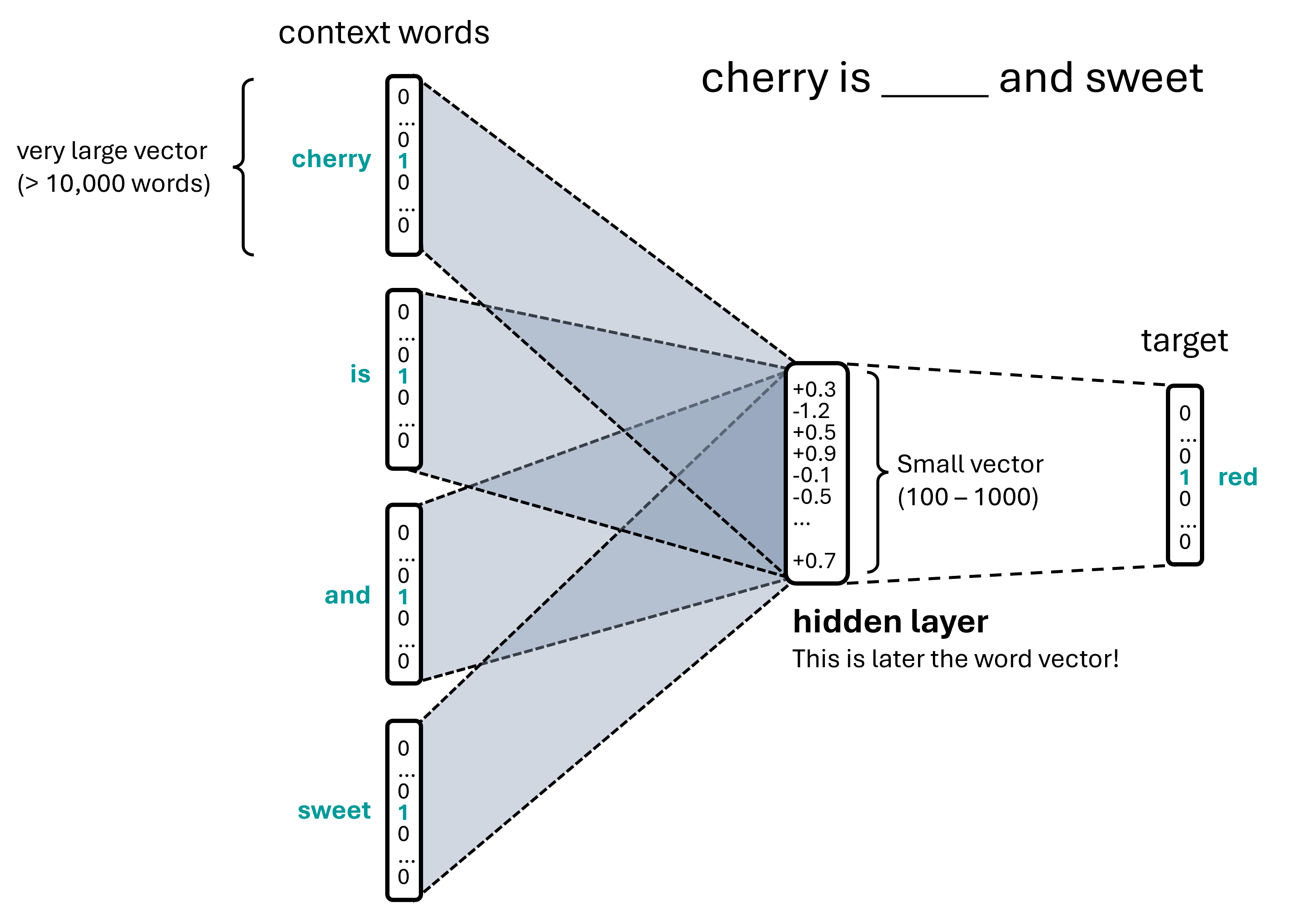 The aim of a Word2Vec model is typically to learn vector representations of individual words based on some context words. This is done in such a way that the very large (and very sparse) input vectors are converted into highly compressed float vectors. In this example figure, the context words are “cherry”, “is”, “and”, “sweet”, and the target word would be “red”.